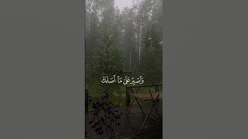 الشيخ محمد الليحدان | سورة لقمان #قرآن #اكسبلور #ارح_قلبك #راحة_نفسية #قران_كريم #لايك #تلاوة_خاشعة
