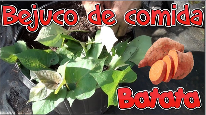 De bejuco a comida, Batata en Tiestos! (3ra Parte)