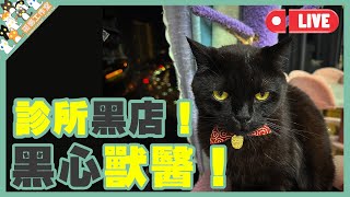 【孤貓工作室】直播黑心獸醫診所黑店