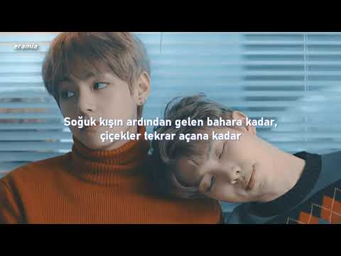 BTS - Spring Day // Türkçe Çeviri