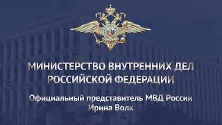 Ирина Волк: В Домодедове полицейские составили протокол на авиадебошира