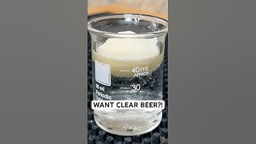 How to Clear Your Beer FAST!