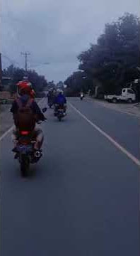 story wa,herex turing