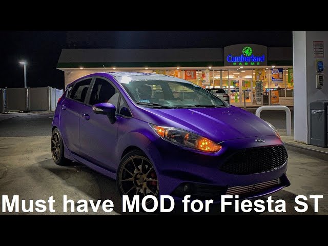 J.P. Feyt – Fiesta Vanda Vanda Fuchs Fiesta - orchidroots