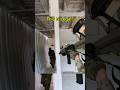 How Can You Counter This..? #airsoft #military #shorts