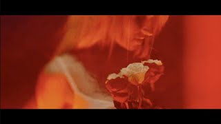 Coffin Carousel - War of Roses