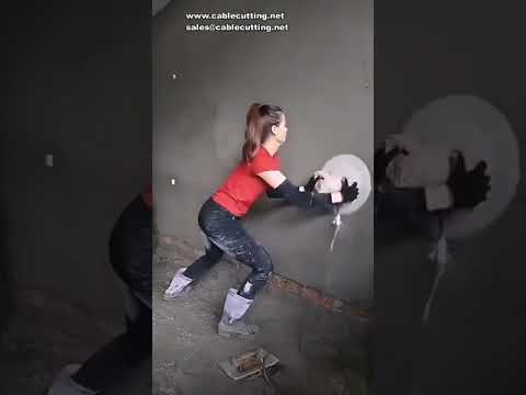 220V 3280W Electric Wall Polisher, Portable Adjustable Speed Sanding Waxing Machine