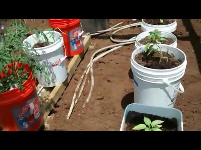 Rain Gutter Grow System Maryland Grows