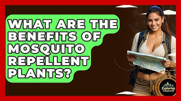 What Are The Benefits Of Mosquito Repellent Plants? - Exploring Campgrounds