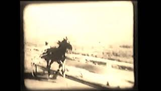 DAN PATCH M W SAVAGE International 155 Stock Farm
