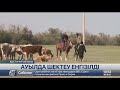 Қостанай облысының Первомай ауылында шектеу енгізілді