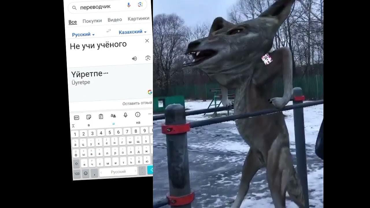 гугл! - YouTube