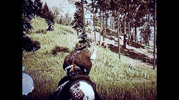 Red Dead Redemption 2 Weapon Expert 10 Killing A Grizzly Bear Using Only Throwing Knives