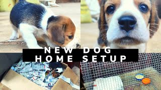 New Puppy Home Setup | Naye Puppy Ko Ghar Me Kyse Rakhen   (in hindi)