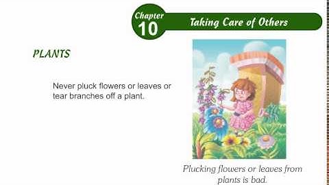 Environmental Studies Class 3 Chapter 10,Taking care of others,Part02