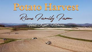 Potato Harvest at Fort Kent, Maine