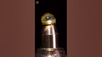 ASMR Ball pen rubber guard melting close up macro #short  #satisfying #closeup #asmr #macro