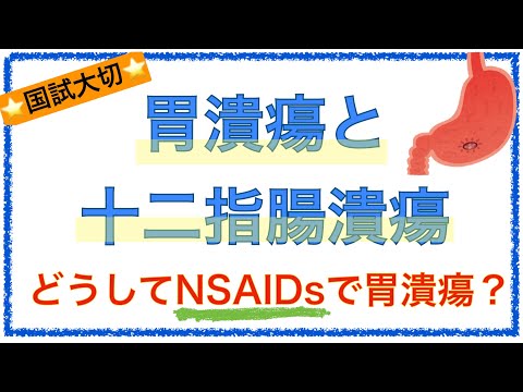 教科書をわかりやすく！「胃潰瘍と十二指腸潰瘍・NSAIDsで胃潰瘍になる仕組み」