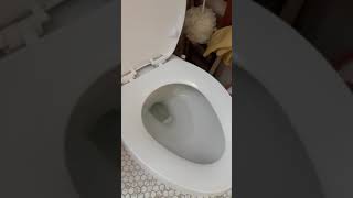 Blue water toilet flush test