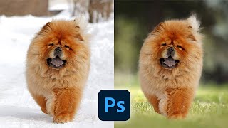 :      