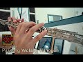 Paskong Walang Hanggan (Flute Instrumental) 🌌