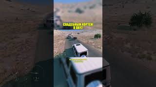 Свадебный кортеж в DayZ #дейз #рп #rp #dayz