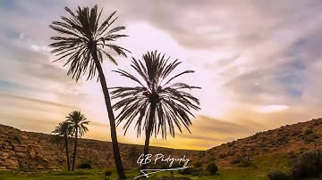 تلاوة القارى فوزي قديرة