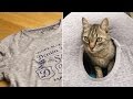 Casa para gatos con una camiseta y dos perchas | MASCOTAS