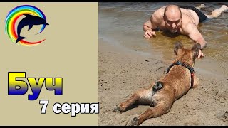 Как плавает французский бульдог Буч. 7 серия.