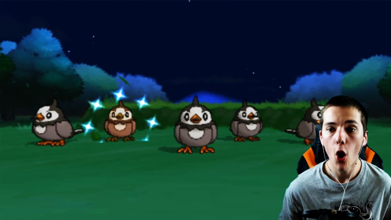 Live Shiny 5 Starly After 93 Hordes Shiny Living Dex 396 Pokemon Xy Youtube