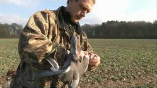 How to be a Pigeon Shooting Expert with James Marchington