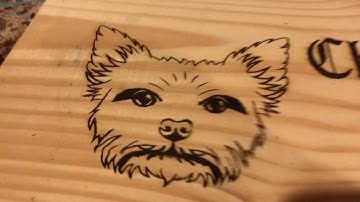 Laser Engraver  Backlash Poor Quality Engrave - Squiggle Lines, Uneven Engrave, Distorted Image