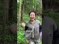 本以为今天起码挖二十斤竹笋，结果却.......#竹笋炒肉 #春笋 #春天吃什么 #农村美食 #挖笋的乐趣只有体验过才懂