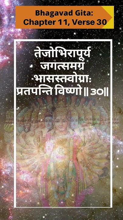 daily-dose-of-wisdom-bhagavad-gita-chapter-11-verse-30-maaruti