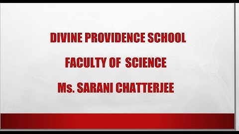 SEPTEMBER 13: GRADE III: EVS: CHAPTER 6 - THE WORLD OF PLANT