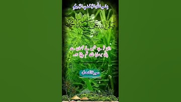 Quran Short in Urdu 📘 #Quran Urdu Tarjuma #SurahAlNahal سورة النحل