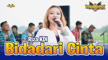 BIDADARI CINTA - Riza KDI - OM NIRWANA COMEBACK Live Wonoayu Mojoagung