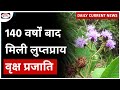 Uniyala multibracteata | Wagamon hills | Daily Current News | Drishti IAS