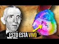 &quot;Una vez que lo Calientas, tu Cerebro Comienza a Cambiar...&quot; - (EN SERIO !!!)