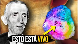 'Una vez que lo Calientas, tu Cerebro Comienza a Cambiar...' - (EN SERIO !!!) by INSPÍRATE 20,705 views 3 months ago 15 minutes