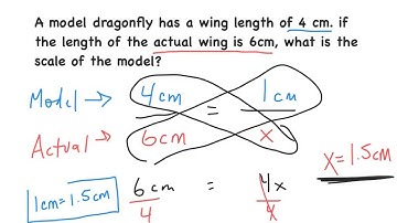 7-6-6 Scale Drawings and Models