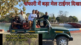 Big Male Tiger Sighting at Pilibhit Tiger Reserve