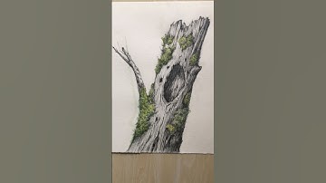Pencil and Light Watercolor Tutorial#art #drawing #sketch #painting #tutorial #artist #life #tree