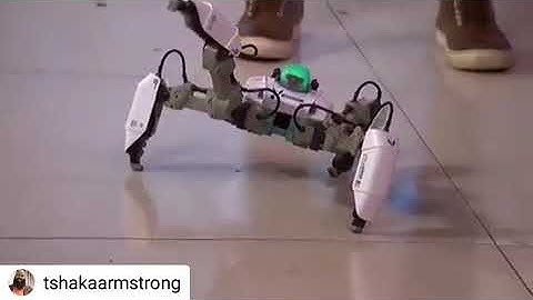 How awesome can a robot be?