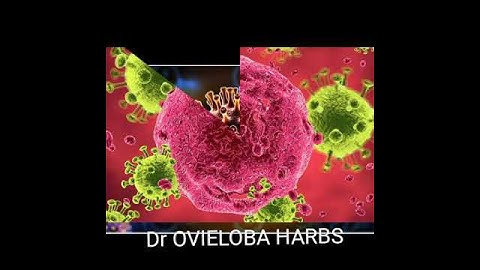 The only man that can cure any kind of infection or disease