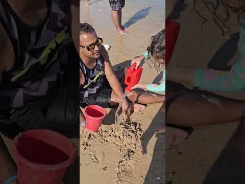 بوظنا البيت  كامري 