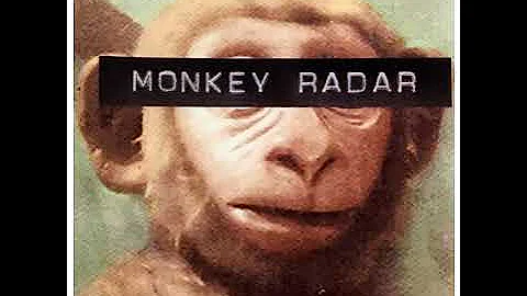 Monkey Radar - Julie Marino
