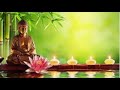 Music for peace of mind.10Minutes Rain Forest Meditation Music, deep focus, calm music, relaxation.