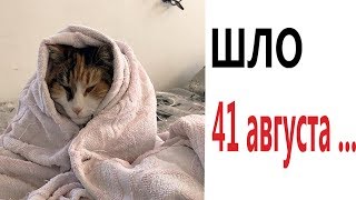 Лютые приколы. ШЛО 41 АВГУСТА!!! Попробуй не засмеяться! РЖАКА ДО слёз! - Domi Show!