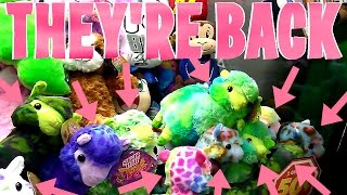 Return Of The Llamas Sugar Loafgamergreen Claw Machine Wins Alpacas
